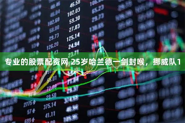 专业的股票配资网 25岁哈兰德一剑封喉，挪威队1